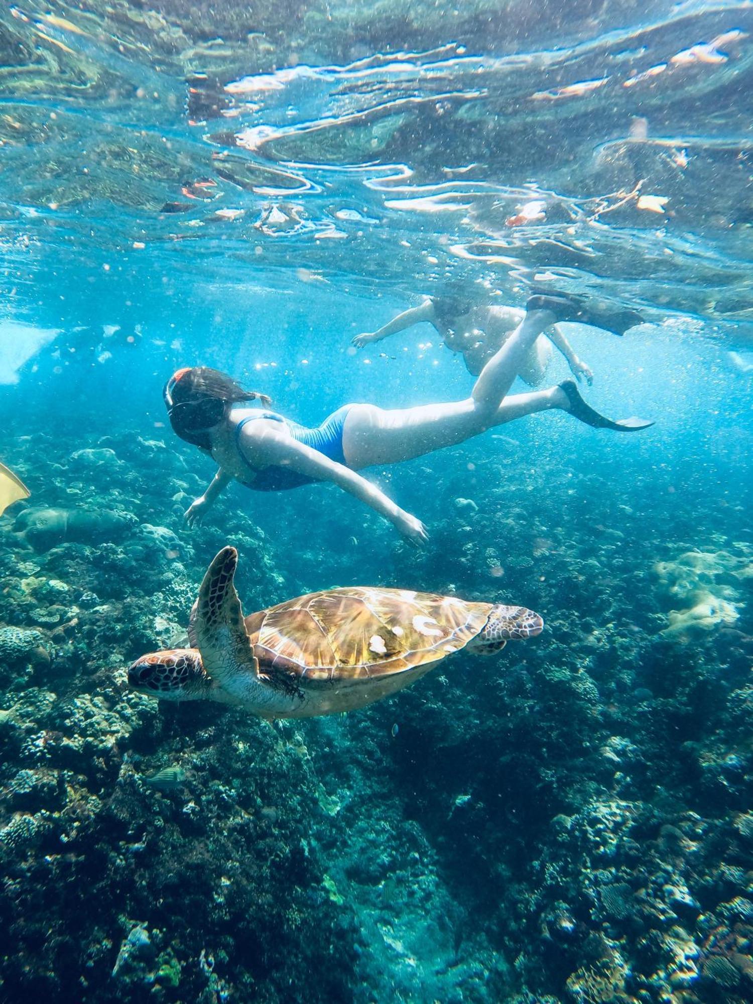 The Edge Lembongan 빌라 외부 사진