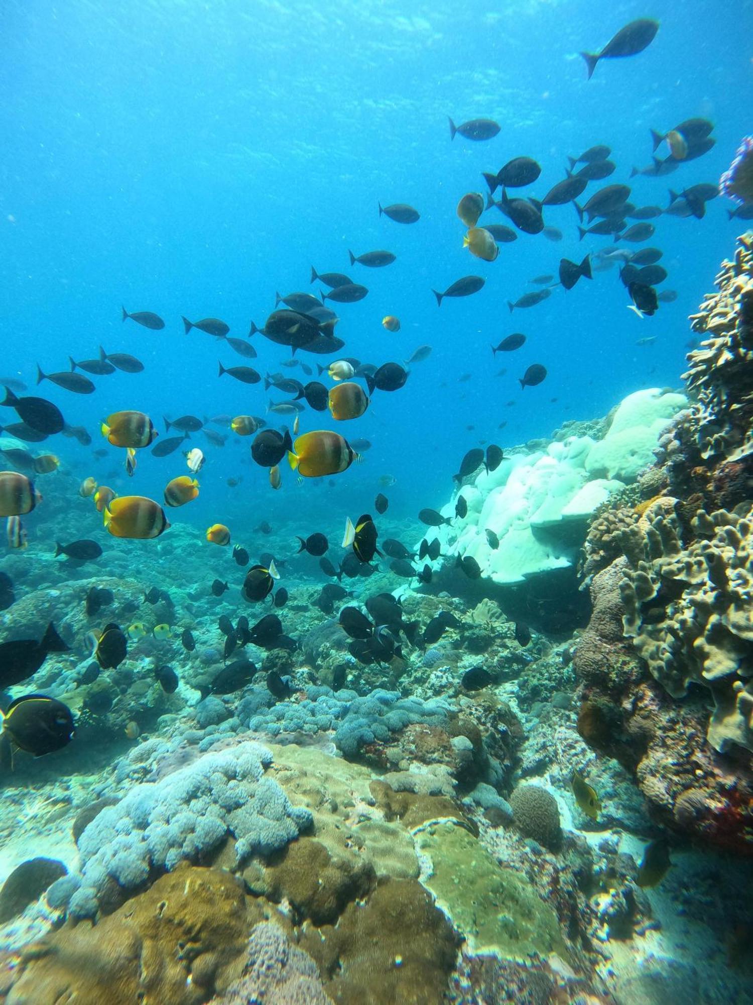 The Edge Lembongan 빌라 외부 사진